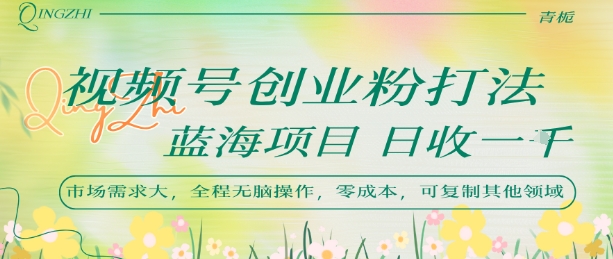视频号创业粉打法，日入1k，蓝海项目，市场需求大，全程无脑操作，可复制-HEIXMI（中国站）