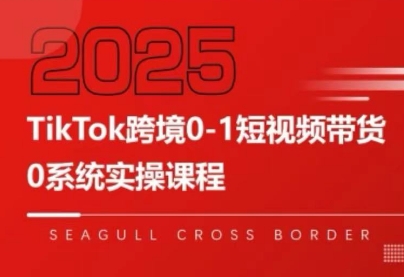 大亿老师·TikTok跨境0-1短视频带货-HEIXMI（中国站）