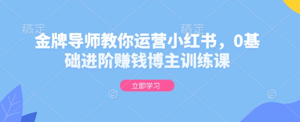 金牌导师教你运营小红书，0基础进阶赚钱博主训练课-HEIXMI（中国站）
