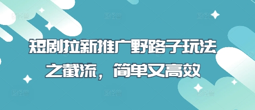 短剧拉新推广野路子玩法之截流，简单又高效-HEIXMI（中国站）
