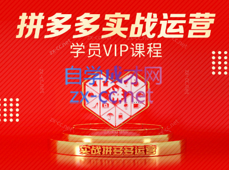 推易电商·拼多多实战运营课(更新2025月)-HEIXMI（中国站）