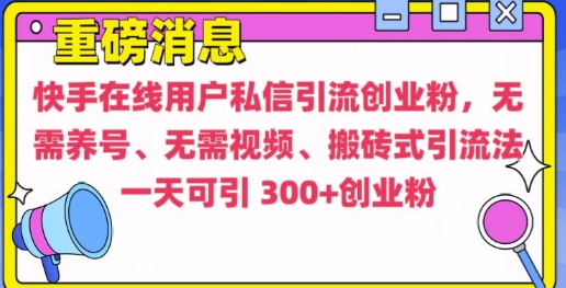 快手最新引流创业粉方法，无需养号、无需视频、搬砖式引流法【揭秘】-HEIXMI（中国站）
