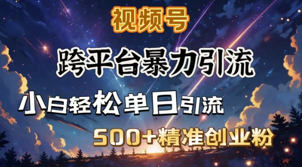 跨平台暴力引流，私域完美闭环，日引500+精准创业粉-HEIXMI（中国站）