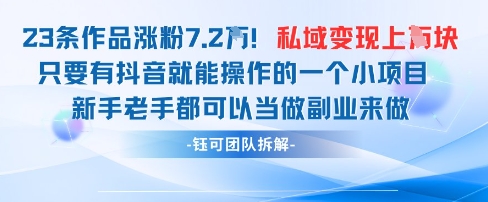 抖音私域项目23条作品涨粉7.2W，私域变现1W-HEIXMI（中国站）