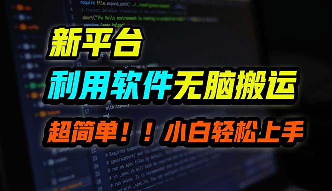 B站平台用软件无脑搬运，月赚10000+，小白也能轻松上手-HEIXMI（中国站）
