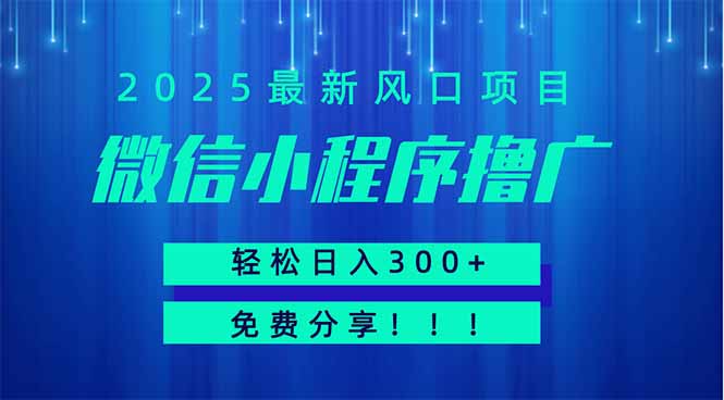 微信小程序撸广，最新风口项目，日入300+ 免费分享 可批量操作 小白可…-HEIXMI（中国站）