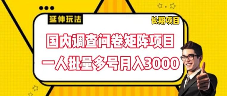 国内调查问卷矩阵项目，一人批量多号月入3000【揭秘】-HEIXMI（中国站）