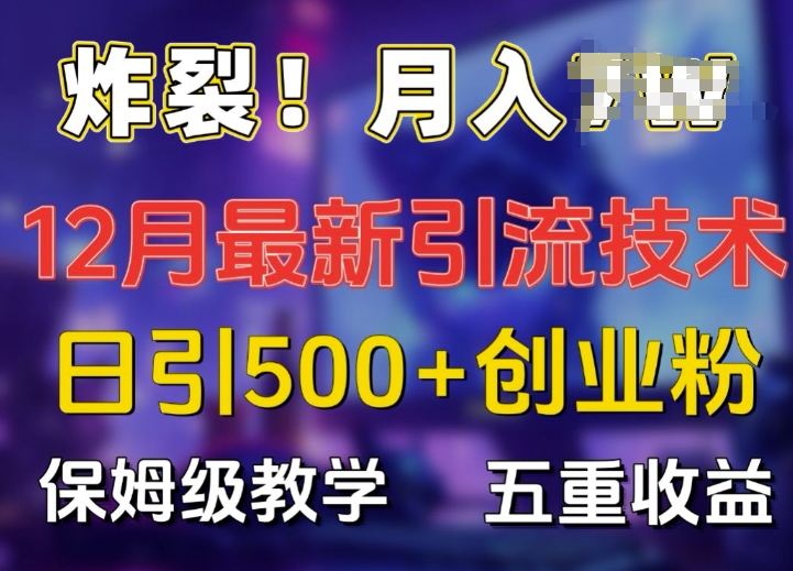 炸裂!揭秘12月最新日引流500+精准创业粉，多重收益保姆级教学-HEIXMI（中国站）