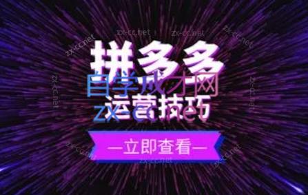 力辛电商·拼多多强付费店群玩法-HEIXMI（中国站）