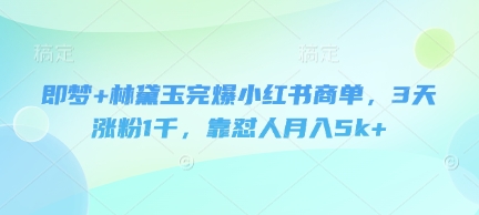 即梦+林黛玉完爆小红书商单，3天涨粉1千，靠怼人月入5k+-HEIXMI（中国站）