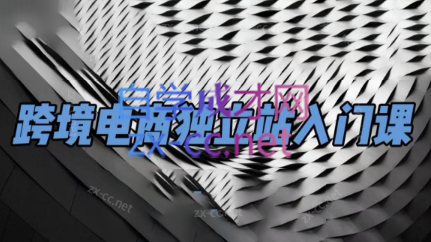 团长·跨境电商独立站入门课(2小时精华)-HEIXMI（中国站）