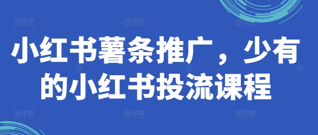 小红书薯条推广，少有的小红书投流课程-HEIXMI（中国站）