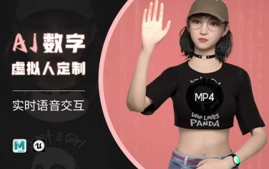 Ai数字人虚拟(智能体)实时语音交互特训营，​自行定制超写实角色AI数字人交互技术-HEIXMI（中国站）