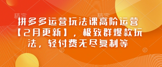 拼多多运营玩法课高阶运营【2月更新】，极致群爆款玩法，轻付费无尽复制等-HEIXMI（中国站）