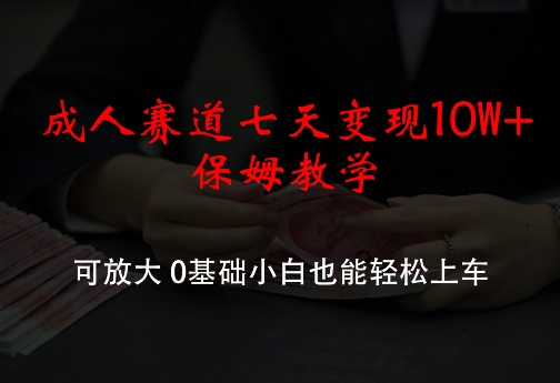 成人赛道七天变现10W+保姆教学，可放大，0基础小白也能轻松上车【揭秘】-HEIXMI（中国站）