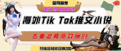 海外tiktok小说推文暴力项目，高停留率，高转化率，上手后一天搞顿饭钱不是问题-HEIXMI（中国站）