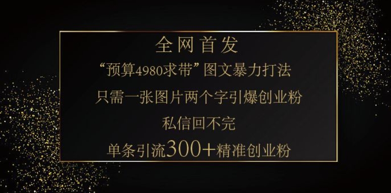 小红书神奇图片引流法，只需一张图，就能单条笔记凭借此方法，轻松引流 300 + 精准创业粉-HEIXMI（中国站）