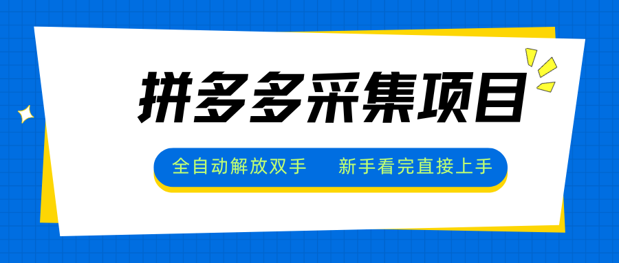 拼多多采集项目，全自动解放双手，单号日入30+-HEIXMI（中国站）