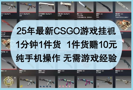 25年最新CSGO游戏挂G，1分钟1件货，1件货挣10元，纯手机操作，无需游戏经验【揭秘】-HEIXMI（中国站）