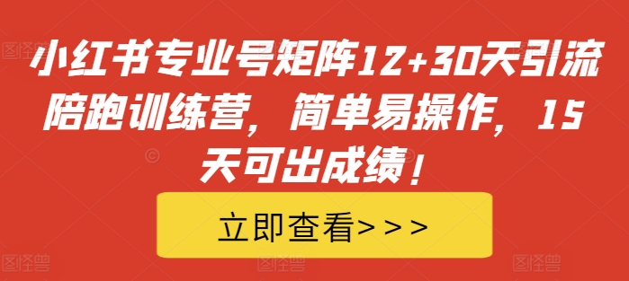 小红书专业号矩阵12+30天引流陪跑训练营，简单易操作，15天可出成绩!-HEIXMI（中国站）