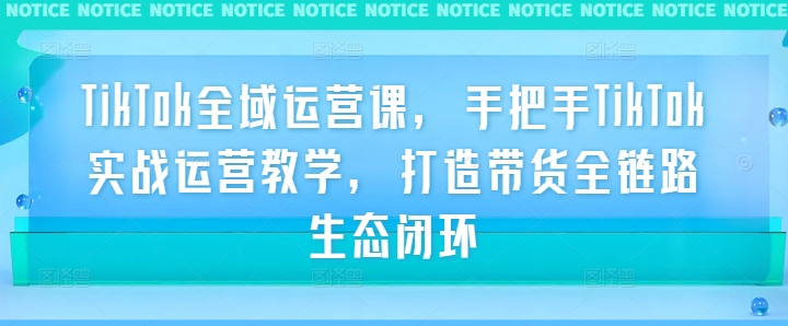 TikTok全域运营课，手把手TikTok实战运营教学，打造带货全链路生态闭环-HEIXMI（中国站）