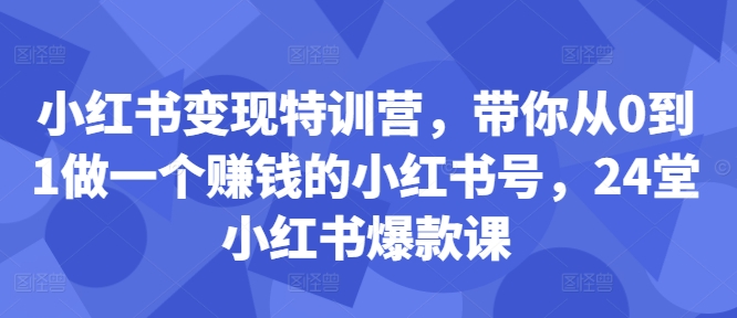 小红书变现特训营，带你从0到1做一个赚钱的小红书号，24堂小红书爆款课-HEIXMI（中国站）