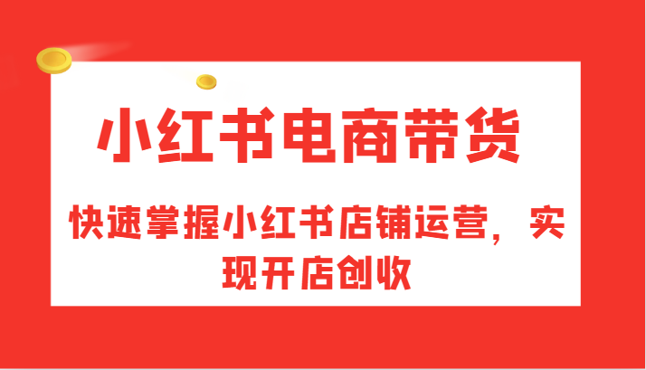 小红书电商带货，快速掌握小红书店铺运营，实现开店创收-HEIXMI（中国站）