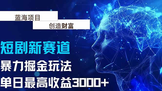 抖音新赛道，暴力掘金玩法，单日收益最高3000+-HEIXMI（中国站）