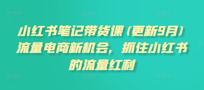 小红书笔记带货课(更新25年5月)流量电商新机会，抓住小红书的流量红利 - HEIXMI（中国站）-HEIXMI（中国站）