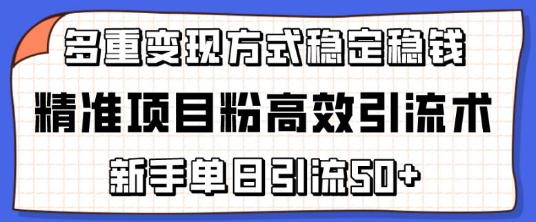 精准项目粉高效引流术，新手单日引流50+，多重变现方式稳定赚钱【揭秘】-HEIXMI（中国站）