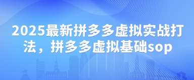 2025最新拼多多虚拟实战打法，拼多多虚拟基础sop-HEIXMI（中国站）