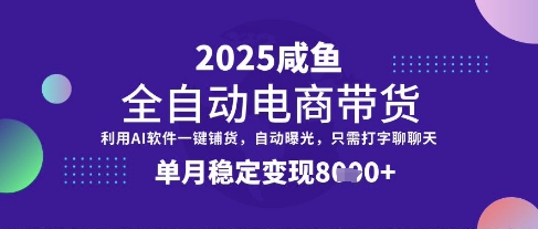全网首发【闲鱼全自动电商带货】三年磨一剑，一朝露锋芒，单月稳定变现8k+【揭秘】-HEIXMI（中国站）