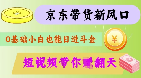 最新京东短视频带货代运营秘籍，轻松躺挣【揭秘】-HEIXMI（中国站）