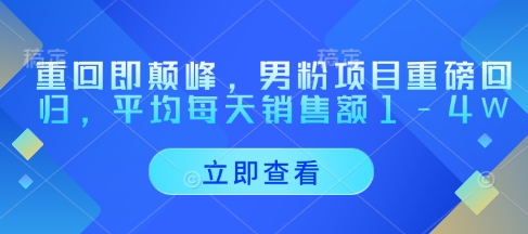 重回即颠峰，男粉项目重磅回归，平均每天销售额1-4W-HEIXMI（中国站）