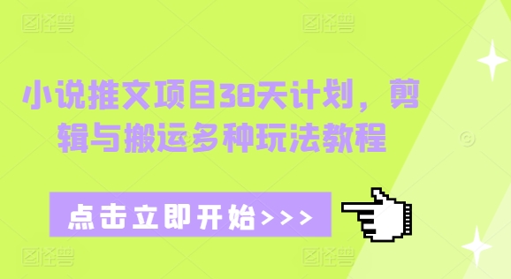 小说推文项目38天计划，剪辑与搬运多种玩法教程-HEIXMI（中国站）