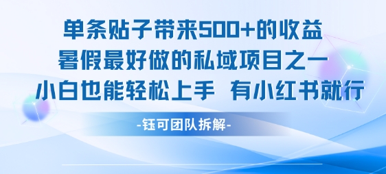 单条贴子带来5张的收益，暑假最好做的私域项目之一，小白也能轻松上手，有小红书就行-HEIXMI（中国站）