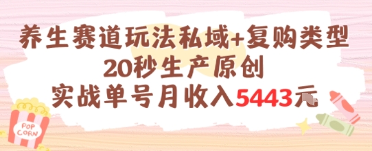 养生赛道玩法私域+复购类型，20秒生产原创实战单号月收入5k+-HEIXMI（中国站）