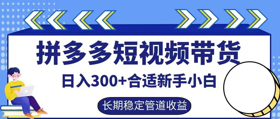 拼多多短视频带货日入300+有长期稳定被动收益，合适新手小白【揭秘】-HEIXMI（中国站）