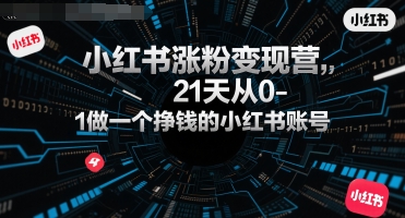 小红书涨粉变现营，21天从0-1做一个挣钱的小红书账号-HEIXMI（中国站）