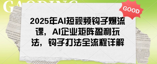 2025年AI短视频钩子爆流课，AI企业矩阵盈利玩法，钩子打法全流程详解-HEIXMI（中国站）
