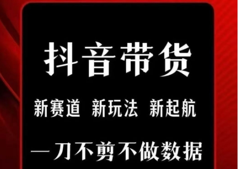 抖音短视频一刀不剪带货，不剪辑，不直播，每天发个视频，等着出单获取带货佣金-HEIXMI（中国站）