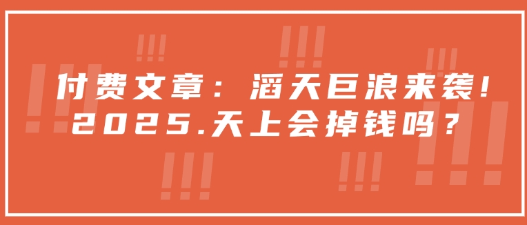 付费文章：滔天巨浪来袭！2025天上会掉钱吗？-HEIXMI（中国站）
