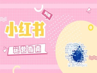 小红书运营指南，没有套路，全是经验-HEIXMI（中国站）
