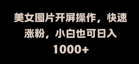 美女图片开屏操作，快速涨粉，小白也可日入1k【揭秘】-HEIXMI（中国站）