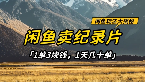 闲鱼卖纪录片1单3块钱，1天几十单，项目稳定有潜力-HEIXMI（中国站）