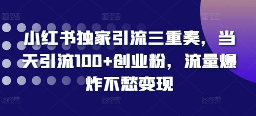 小红书独家引流三重奏，当天引流100+创业粉，流量爆炸不愁变现【揭秘】-HEIXMI（中国站）