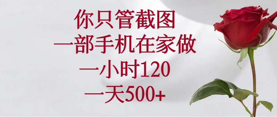 你只管截图，一部手机在家做，一小时120，一天500+-HEIXMI（中国站）