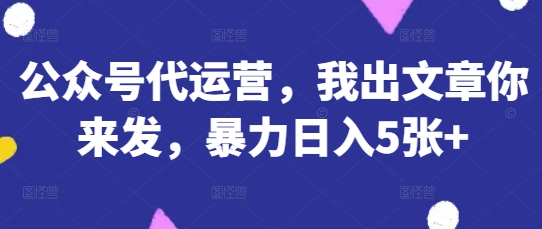 公众号代运营，我出文章你来发，暴力日入5张+【揭秘】-HEIXMI（中国站）