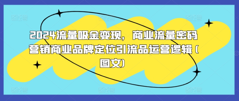 2024流量吸金变现，商业流量密码营销商业品牌定位引流品运营逻辑(图文)-HEIXMI（中国站）