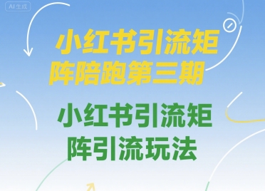 小红书引流矩阵陪跑第三期，小红书引流矩阵引流玩法-HEIXMI（中国站）